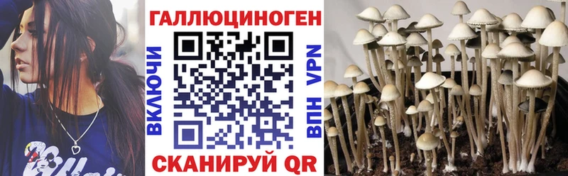 купить наркотики цена  Почеп  Галлюциногенные грибы ЛСД 